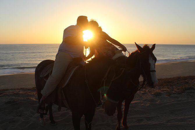 Cabo Desert Off-Road & Beach Horseback Combo and Tequila Tasting - The Sum Up