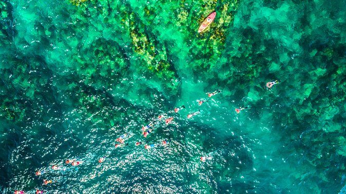 Cabo Escape Breakfast Snorkel Cruise - Who Should Consider This Tour?