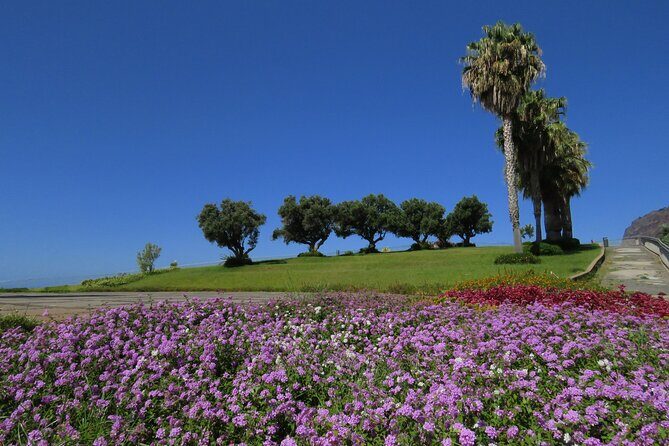 Cabo Girão Sea Cliff and Mountains 4WD Experience - Exploring Madeira’s Scenic Highlights on a 4WD