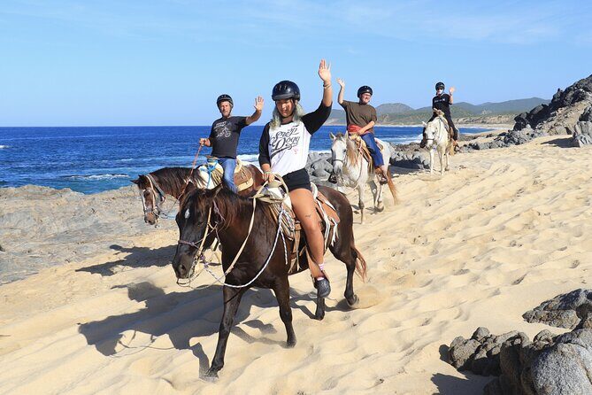 Cabo Horseback Riding on Migriño Beach - An Authentic Baja Beach and Desert Horseback Experience