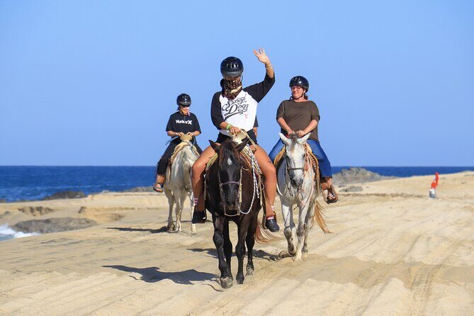 Cabo Horseback Riding on Migriño Beach - The Practicalities of the Tour