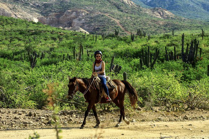Cabo Horseback Riding on Migriño Beach - Booking and Flexibility