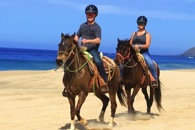 Cabo Horseback Riding on Migriño Beach - Who Will Love This Tour?
