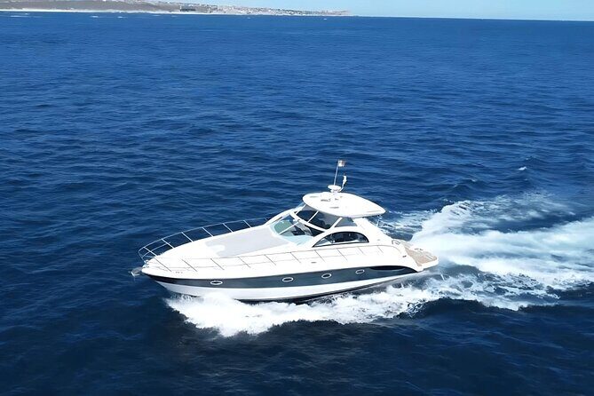 Cabo Luxury Yacht Charter  Private Crew & Snorkeling Adventure - What the Reviews Say