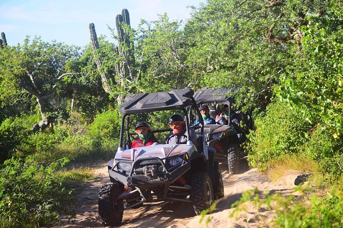 Cabo Migrino Beach & Desert Tour (Triple UTV) - Who Will Love This Tour?