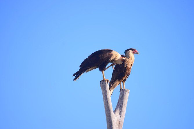 Cabo Original Real Baja 1000 Tour (Single ATV) - FAQ
