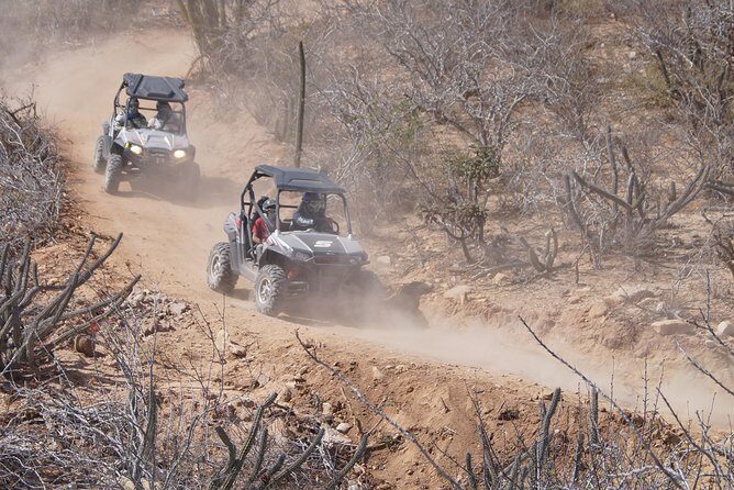 Cabo Original Real Baja 1000 Tour (Triple UTV) - The Sum Up