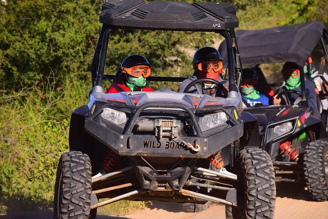 Cabo Original Real Baja 1000 Tour (UTV) - Pricing and Value Analysis