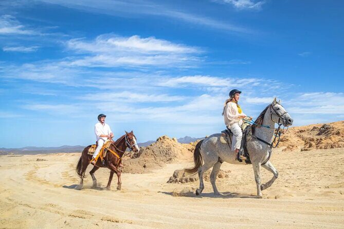 Cabo San Lucas 3-in-1 Combo: Sky Bike, Camels or Horses, and ATV - The Sum Up: Is This Tour for You?