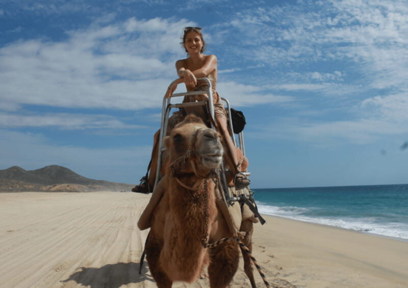 Cabo San Lucas: Amazing Camel Adventure on the Beach - Key Points