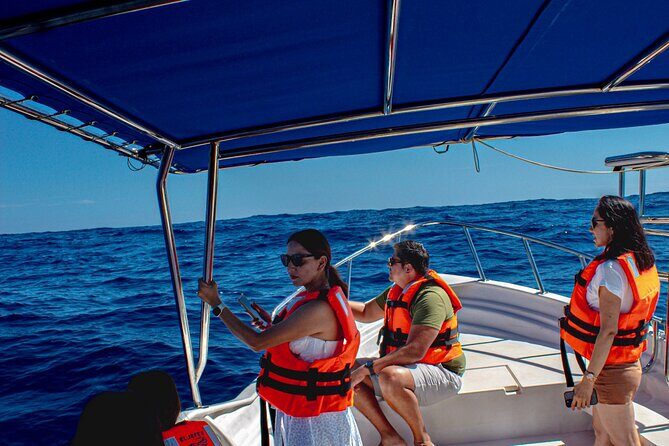 Cabo San Lucas Arch Private Boat Tour - Key Points