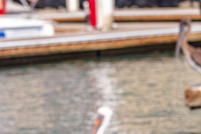 Cabo San Lucas Arch Private Boat Tour - The Sum Up: Is This Tour Worth It?