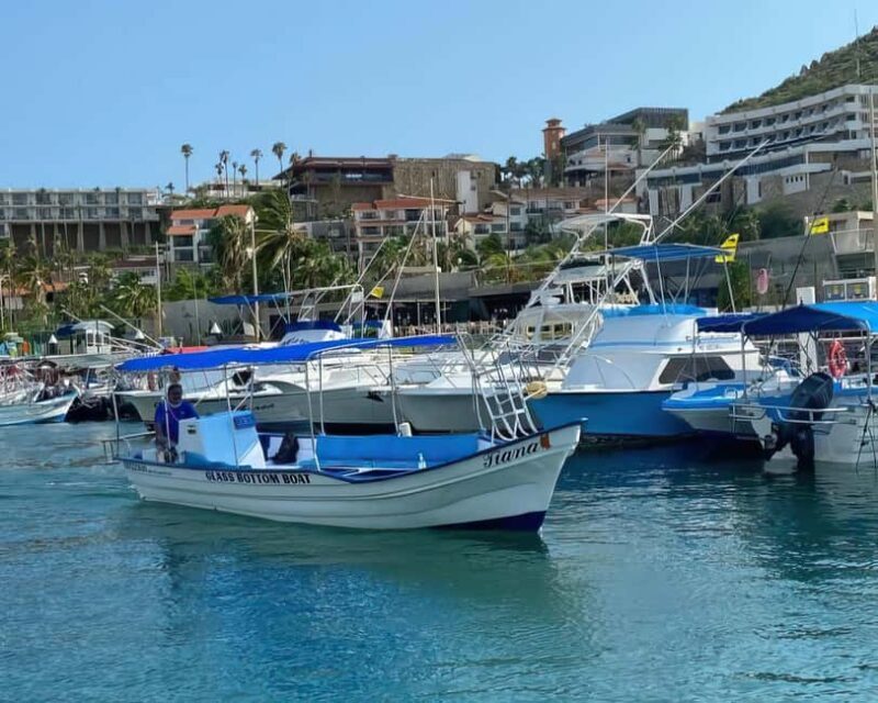 Cabo San Lucas: Arch Tour Glass Bottom Boat - The Experience in Detail