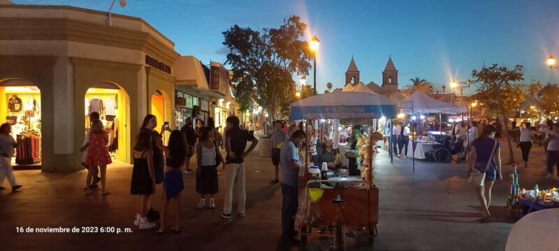 Cabo San Lucas: Art Walk in San Jose del Cabo - Practical Tips for Making the Most of the Tour