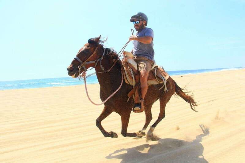 Cabo San Lucas: ATV/Camel/Horse Combo Tour - Practical Details and Tips