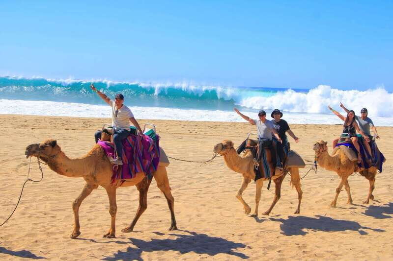 Cabo San Lucas: ATV/Camel/Horse Combo Tour - Final Thoughts