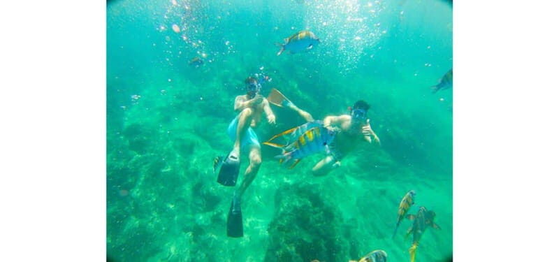 Cabo San Lucas: Beach Hopper Small-Group Snorkeling Tour - How the Tour Unfolds