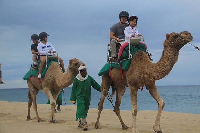 Cabo San Lucas Camel Ride and Encounter on Beach and Desert - Tequila Tasting and Museum Visit