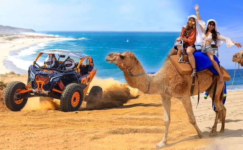Cabo San Lucas: Camel Ride & Off-Road UTV Combo Adventure - Key Points