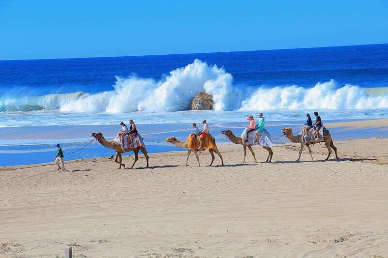 Cabo San Lucas: Camel Ride & Off-Road UTV Combo Adventure - An Authentic Baja Experience with Stunning Views