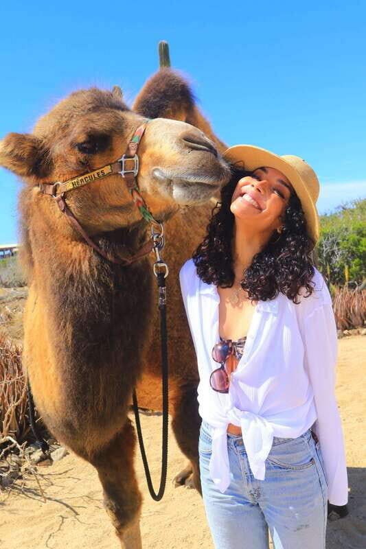 Cabo San Lucas: Camel Ride & Off-Road UTV Combo Adventure - Who Will Love This Tour?