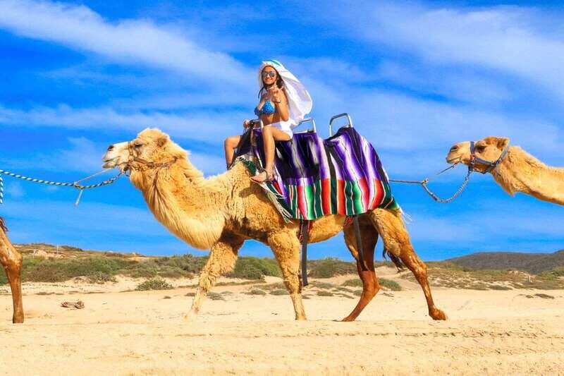 Cabo San Lucas: Camel Ride & Off-Road UTV Combo Adventure - The Sum Up