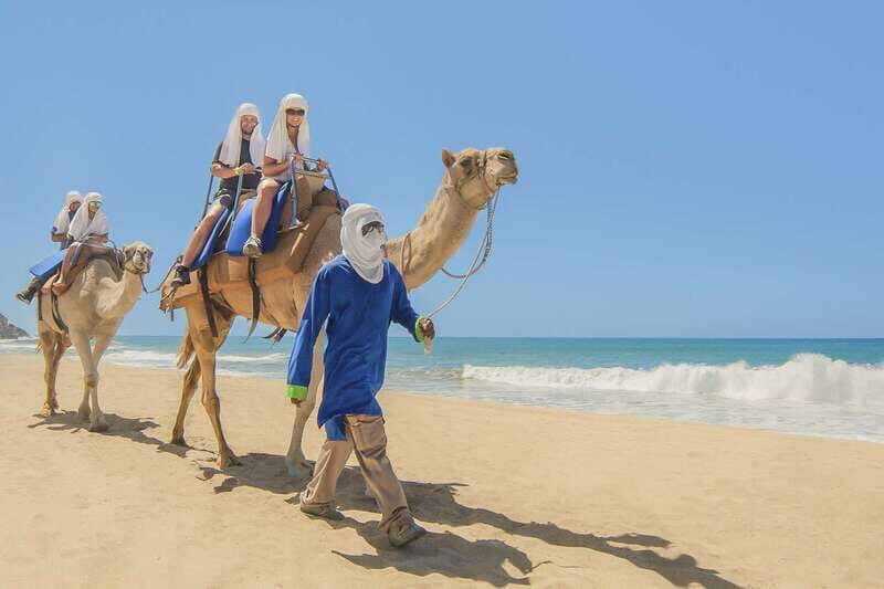 Cabo San Lucas: Camel Safari Tour with Lunch and Tequila - An In-Depth Look at the Camel Safari Tour