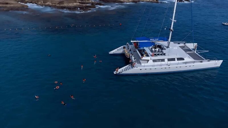 Cabo San Lucas Catamaran Cruise: Snorkel or Sunset Adventure - Final Thoughts on the Cabo Catamaran Cruise