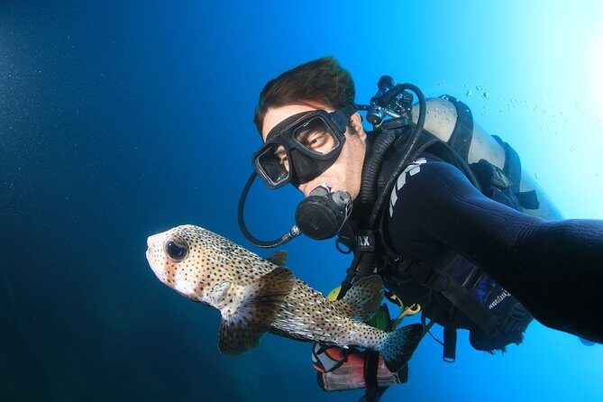 Cabo San Lucas Certified 2 Tank Dive at the Famous Arch and Land's End - An In-Depth Look at the Experience