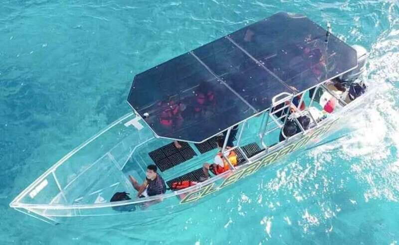 Cabo San Lucas: Clear Boat Tour - The Views and Marine Life