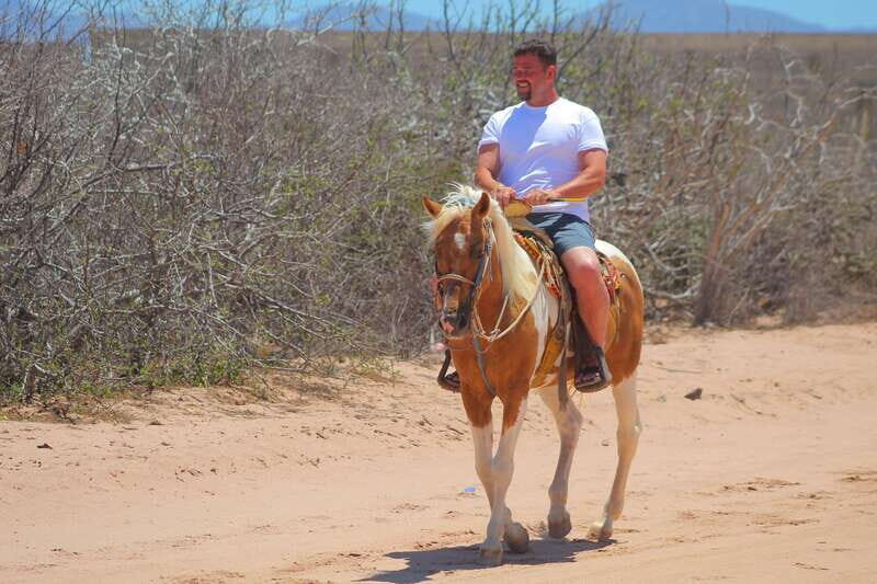 Cabo San Lucas :Combo ATV&Horseback riding with transfer - Why This Tour Offers Good Value