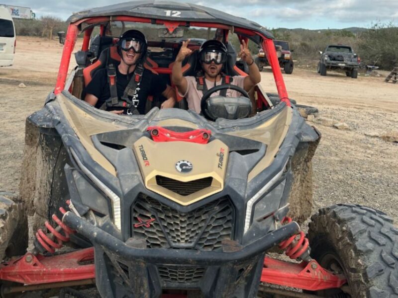 Cabo San Lucas: Combo Vehicle plus Camel or Horse Tour - What’s Included and What to Budget For