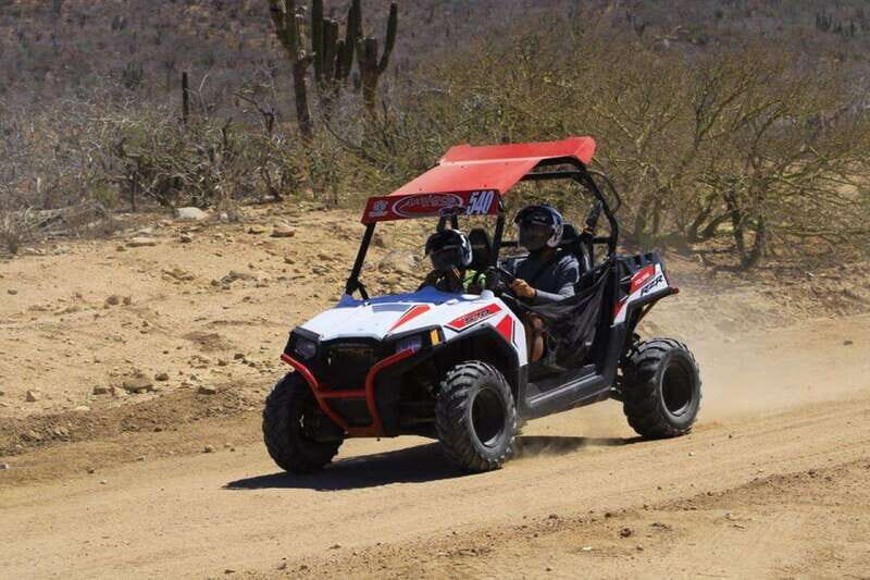 Cabo San Lucas: Desert and Beach RZR and Horseback Riding - Logistics and Practicalities