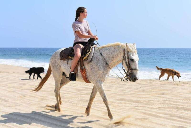 Cabo San Lucas: Desert ATV & Beach Horseback Combo - Exploring the Tour: What You Might Expect