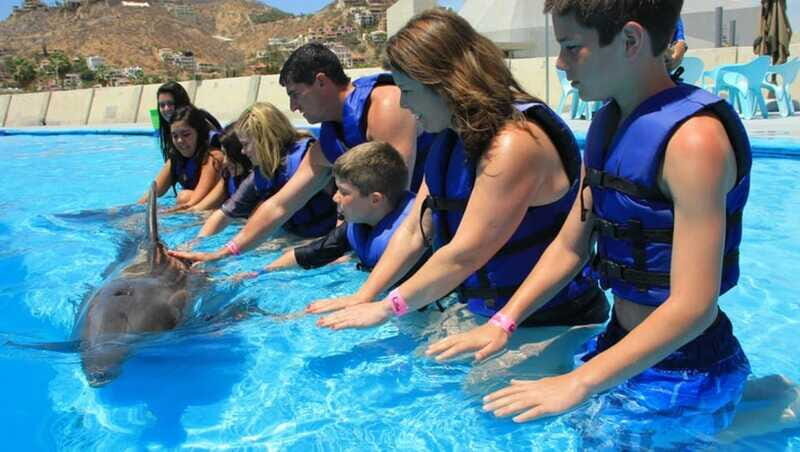 Cabo San Lucas: Dolphin Swim Class with Marine Specialist - Frequently Asked Questions