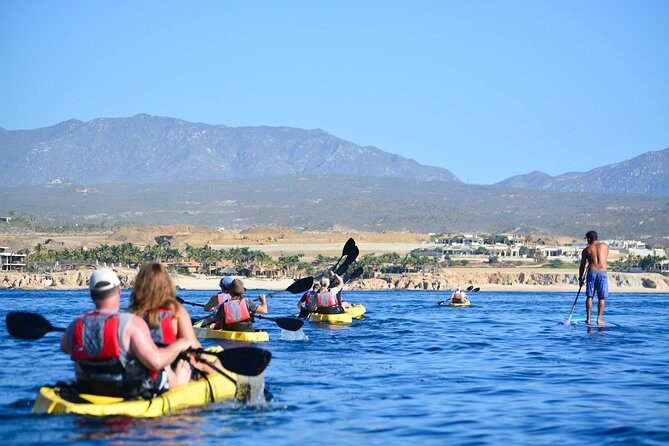 Cabo San Lucas Glass Bottom Kayak Tour and Snorkel at Two Bays - Why This Tour Is a Strong Choice