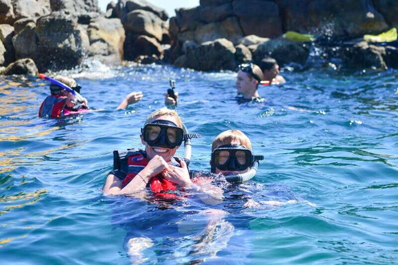 Cabo San Lucas: Guided Snorkeling Tour with Transportation - An Introduction to the Snorkeling Experience in Cabo