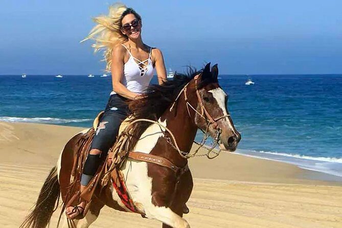 Cabo San Lucas Horseback Ride on Beach and Desert - Key Points