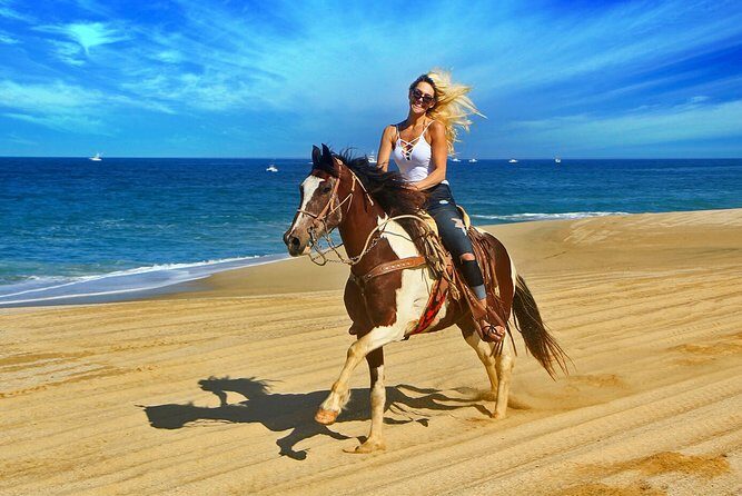 Cabo San Lucas Horseback Ride on Beach and Desert - What to Expect from the Cabo Horseback Ride