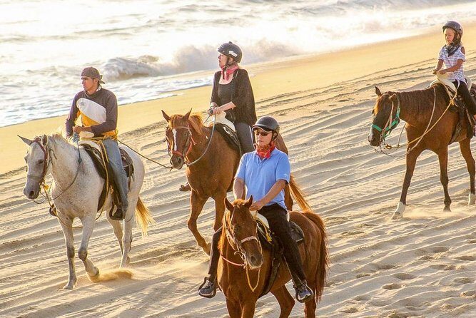 Cabo San Lucas Horseback Ride on Beach and Desert - The Value of This Experience