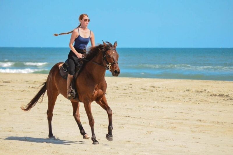 Cabo San Lucas Horseback Ride on Beach and Desert - FAQ