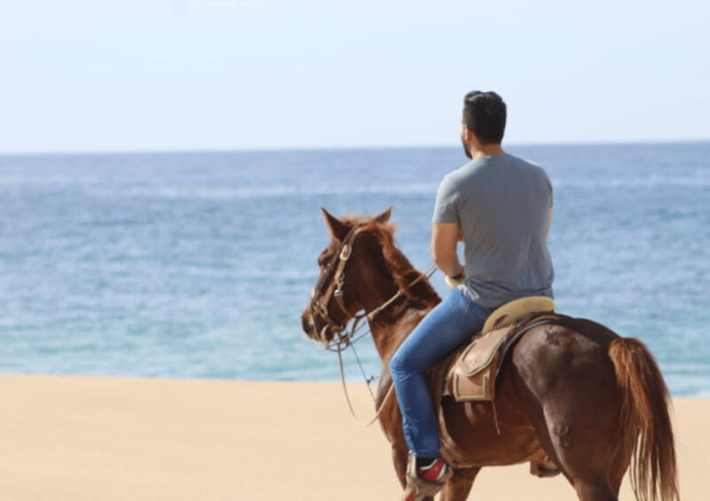 Cabo San Lucas: Horseback Riding Adventure - An In-Depth Look at the Cabo Horseback Riding Experience