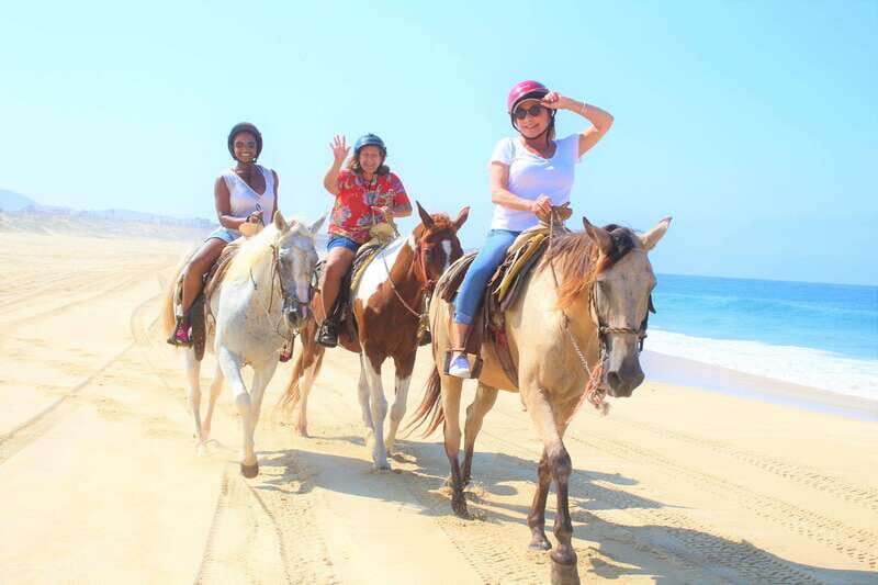 Cabo San Lucas: Horseback Riding Corredor Turistico - An Overview of the Experience