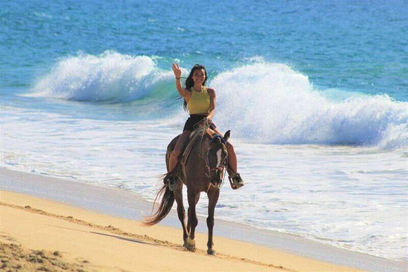Cabo San Lucas: Horseback Riding Corredor Turistico - The Ride Itself: A Detailed Breakdown