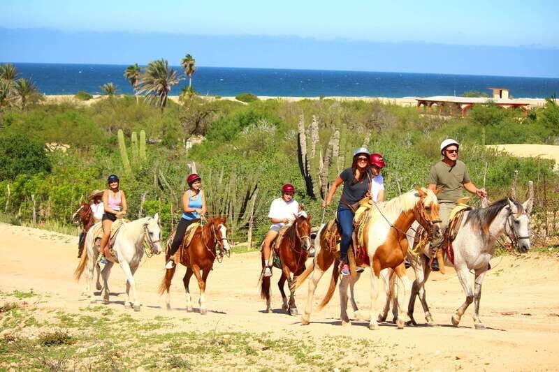 Cabo San Lucas: Horseback Riding in Migriño with Transfers - Key Points
