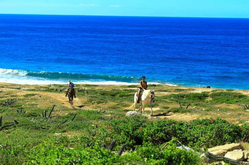 Cabo San Lucas: Horseback Riding in Migriño with Transfers - An In-Depth Look at the Horseback Riding Tour in Migriño