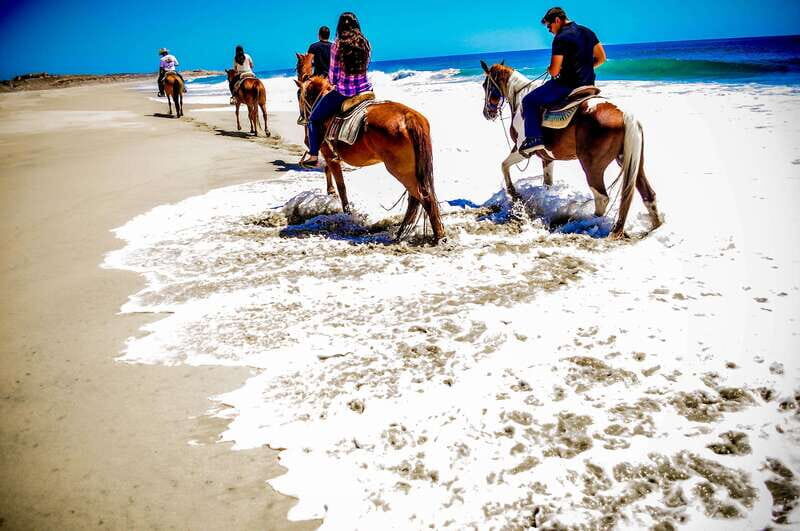 Cabo San Lucas: Horseback Riding in Migriño with Transfers - Final Thoughts