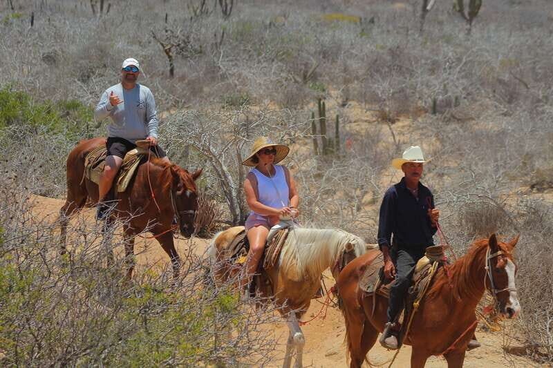 Cabo San Lucas: Horseback Riding in Migriño with Transfers - FAQ