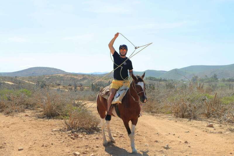 Cabo San Lucas: Horseback Riding On The Beach - An In-Depth Look at the Cabo Horseback Riding Tour