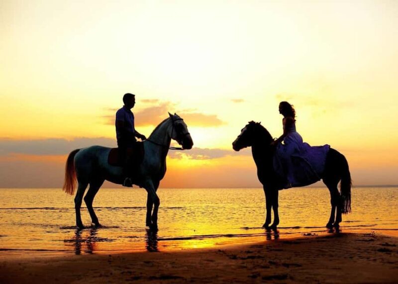 Cabo San Lucas: Intimate Sunset Horseback Ride and Dinner - What to Expect from the Experience